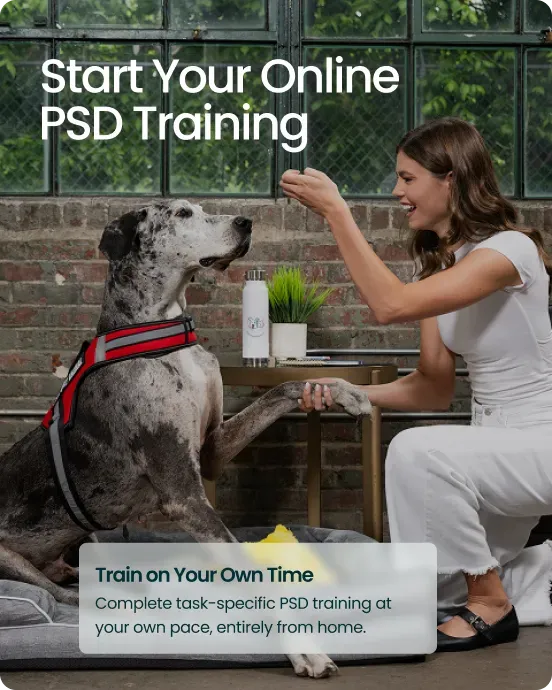Start Your Online PSD Training &mdash; A woman training a Great Dane at home, with a caption reading Train on Your Own Time